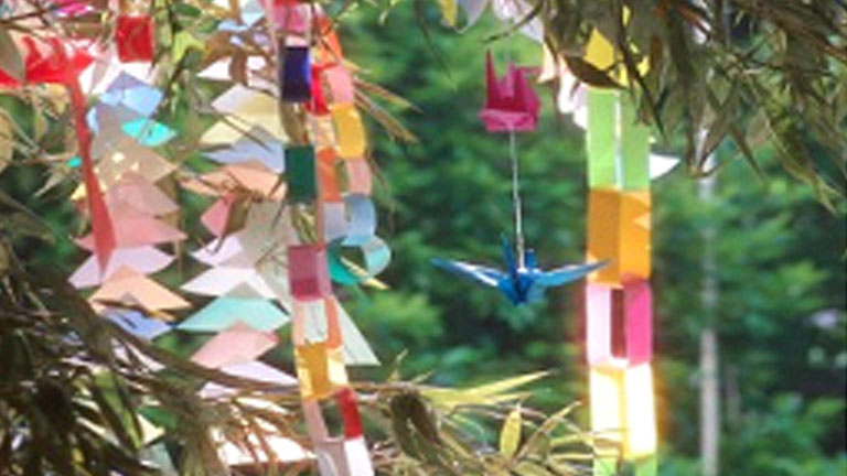 Japanese Garden Tanabata, July 2014 Japanese Garden Tanabata, July 2014